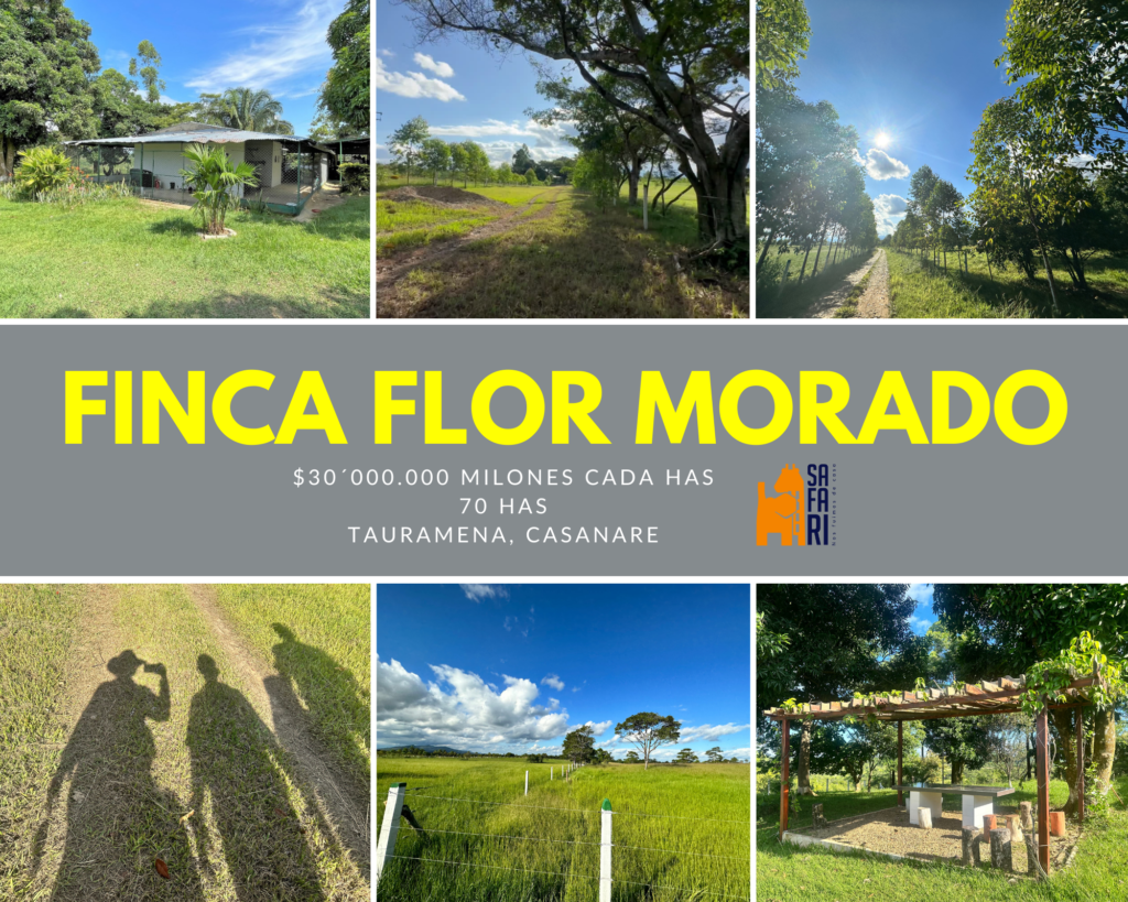 FINCA EN V ENTA YOPAL